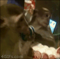 200.gif