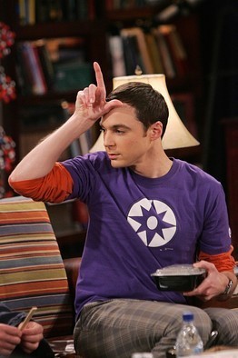 sheldon-cooper-sheldon-cooper-16368553-262-394.jpg