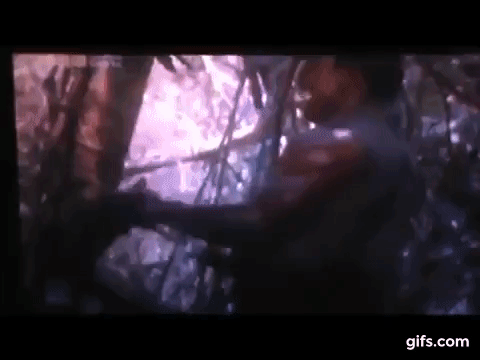 mwVEnr.gif