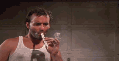 74493-bill-murray-weed-pot-marijuana-onm1.gif