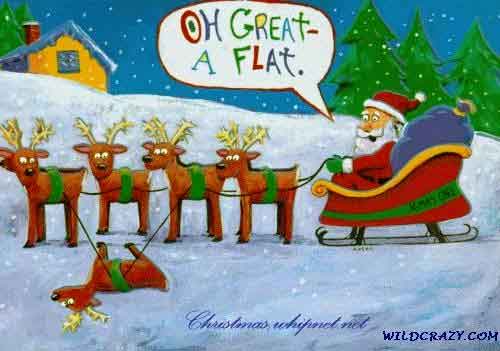 reindeer.flat.jpg