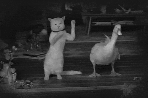 tumblr_m4ezt6xa4G1r3pv9ho1_500.gif