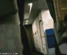 27a4a95a560ce400cb98ffbb41f9b1602e8bd2b54ade754e4a0e44aad57b8952_1.gif