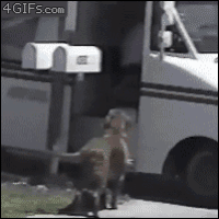 200w.gif