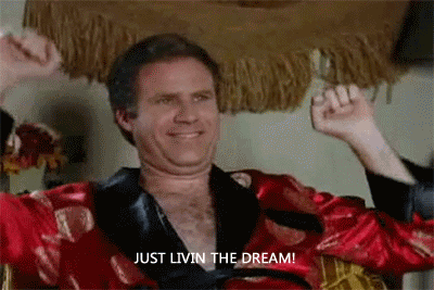 living-the-dream.gif