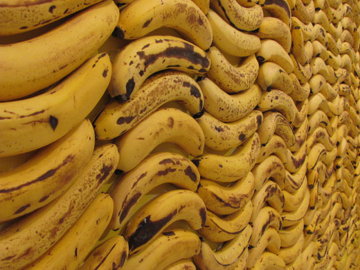 decomposition-clip-art-bananas_160281.jpg