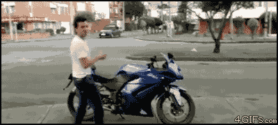 giphy.gif