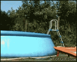 This-Guy-Jumpin-In-The-Pool.gif