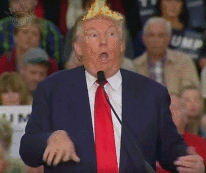 23286998781_e3b9e4e64d_o.gif