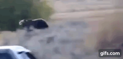 MQY8PP.gif
