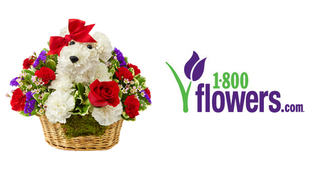 1800flowers-15-for-30-vday2014-1-6-1014992-regular.jpg