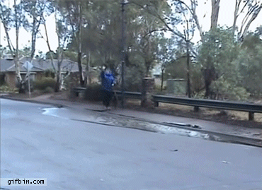 1368728114_waving_dog_walker_gets_splashed_by_cars.gif