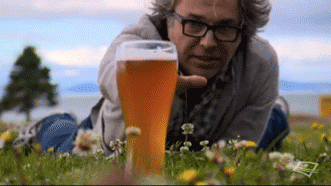 giphy.gif
