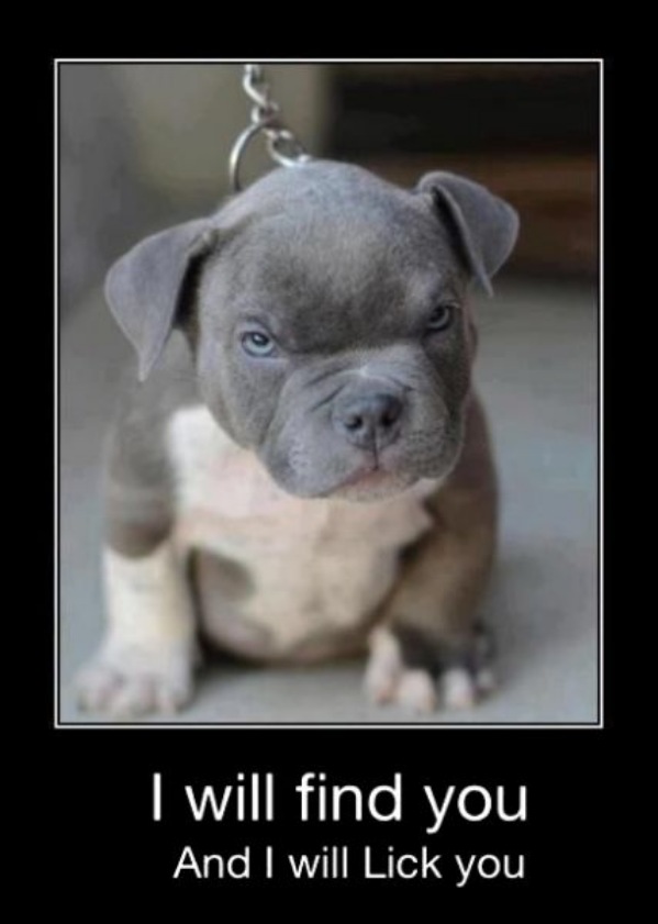 i-will-find-you.jpg