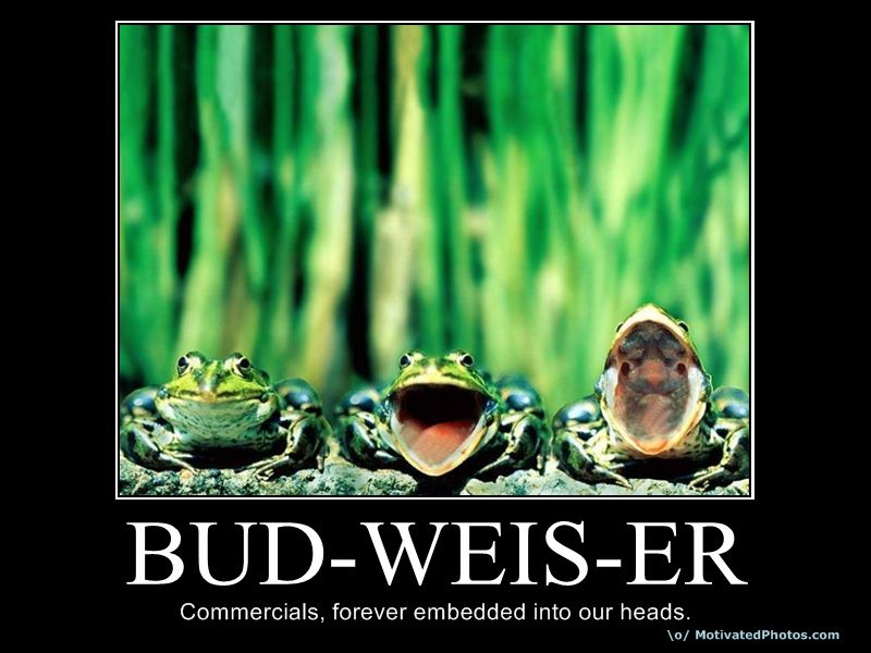 633540562205376739-budweiser1.jpg