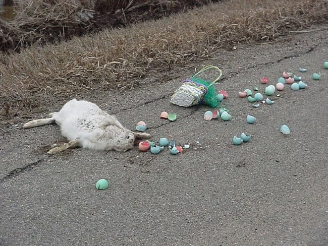 the-easter-bunny-is-dead-big.jpg