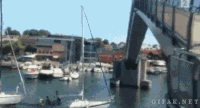 200w.gif