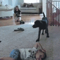 200w.gif