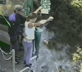original.gif