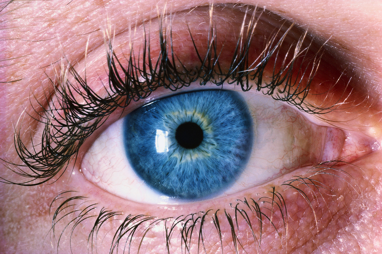 Жизнь с одним глазом. Голубые глаза. Человеческий глаз. Красивые глаза. Синие глаза.