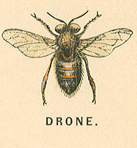 drone.jpg