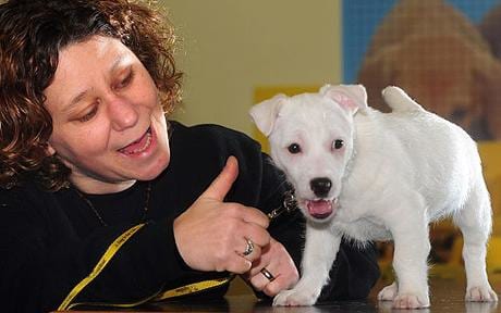 DEAF_PUPPY_1245006c.jpg