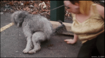 wJWNf.gif