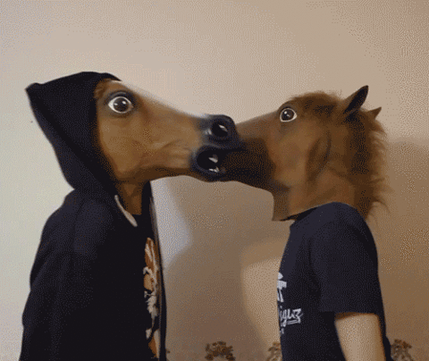 38.gif