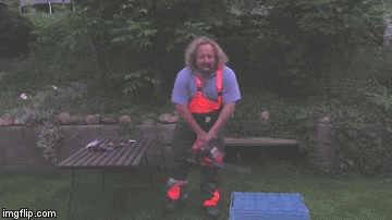 t1yb3.gif