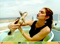 200w.gif