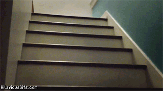pug_zps7741fc99.gif