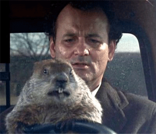 Groundhog-Day.gif