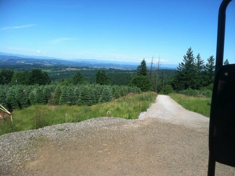 clearday2.jpg