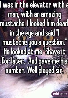 80b384c35fef06e3e1a61f48fe80be93.jpg
