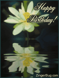 yellow_reflecting_flower_birthday.gif