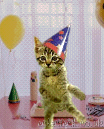 kittydance.gif