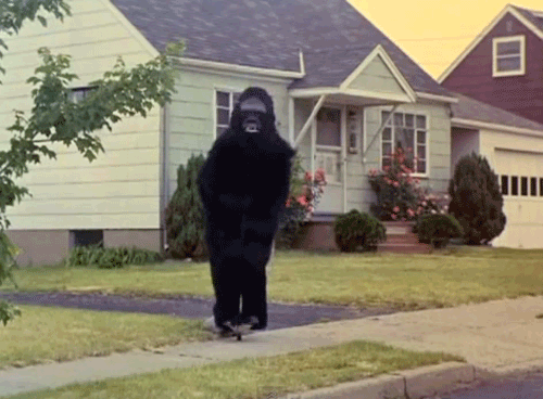 tumblr_muu6bsK7rS1qedb29o1_500.gif