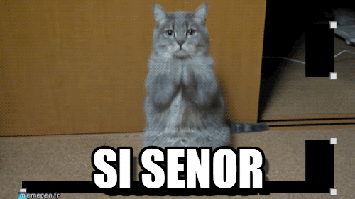 k84w68.gif