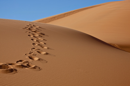 Blog_Cover-Net-tracks.jpg
