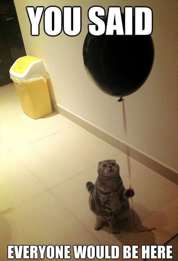 funny-images-dumpaday-pictures-213.jpg