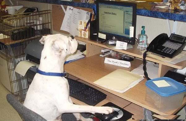 workinhard.jpg