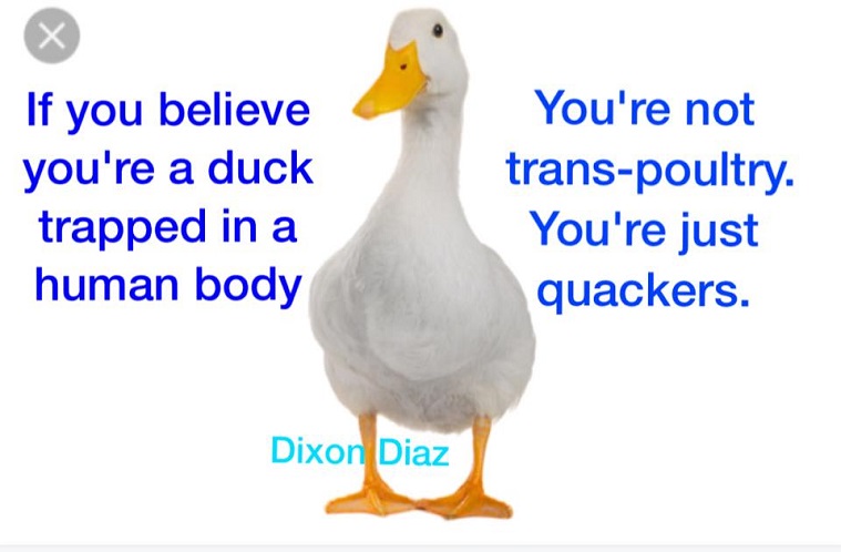 czuVXRC.jpg