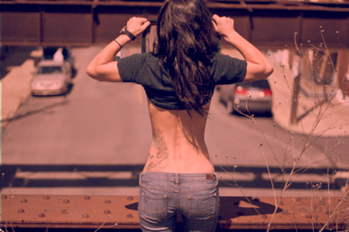 443331.gif