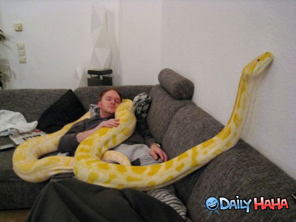 napping-with-my-pet-snake1.jpg