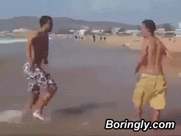 4504776-1487012509-knock.gif