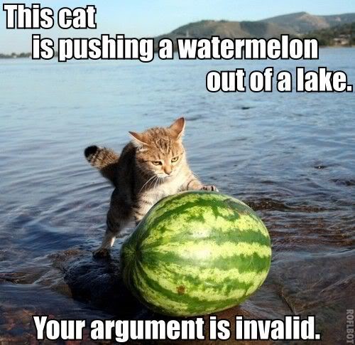 catwatermelonlake.jpg