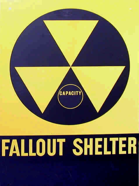 shelte1.jpg