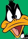 daffy.jpg