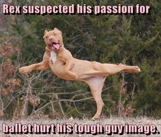 9030b4ce84b71bdb3a3d86cc1b3ee061.jpg