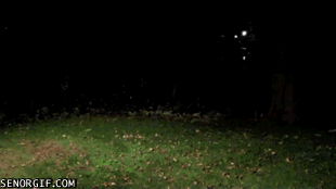 giphy.gif